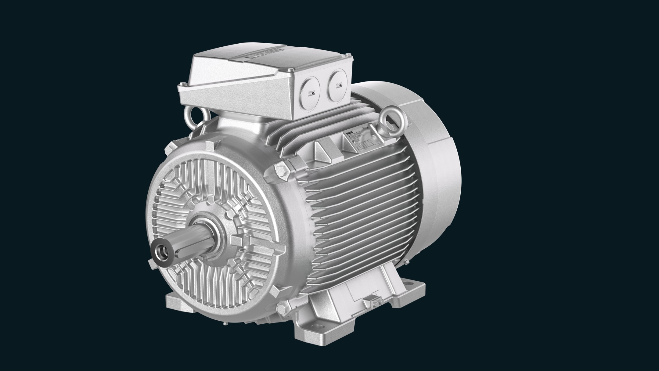 Innomotics Severe Duty motor Innomotics Severe Duty motor